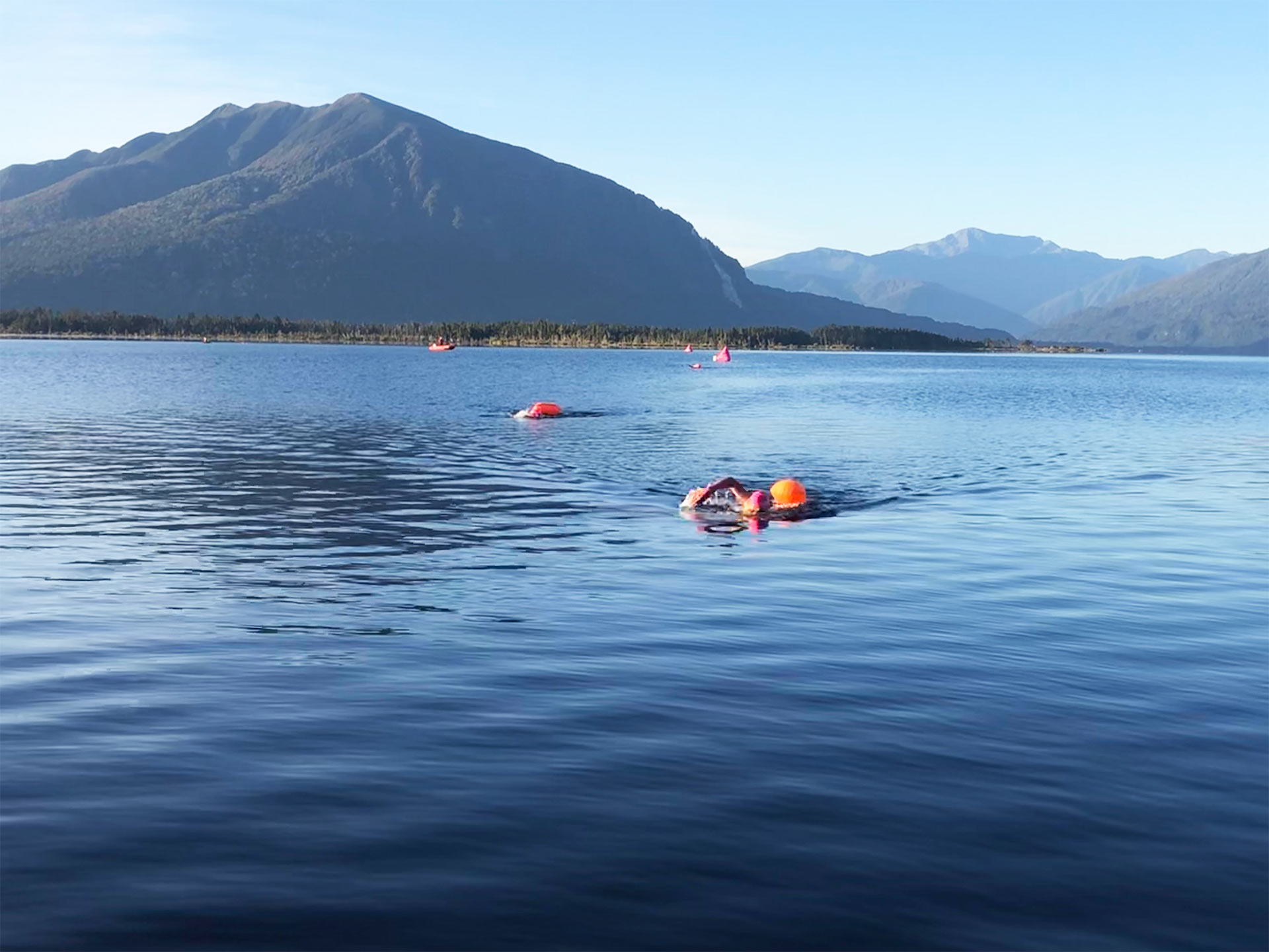 real swim adventures - long distance swim training New zealand