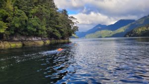 Fiordland RealSwim Adventure