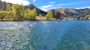 Waitaki Valley RealSwim Adventure